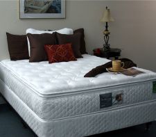 5504 Silver Lining Pillow Top